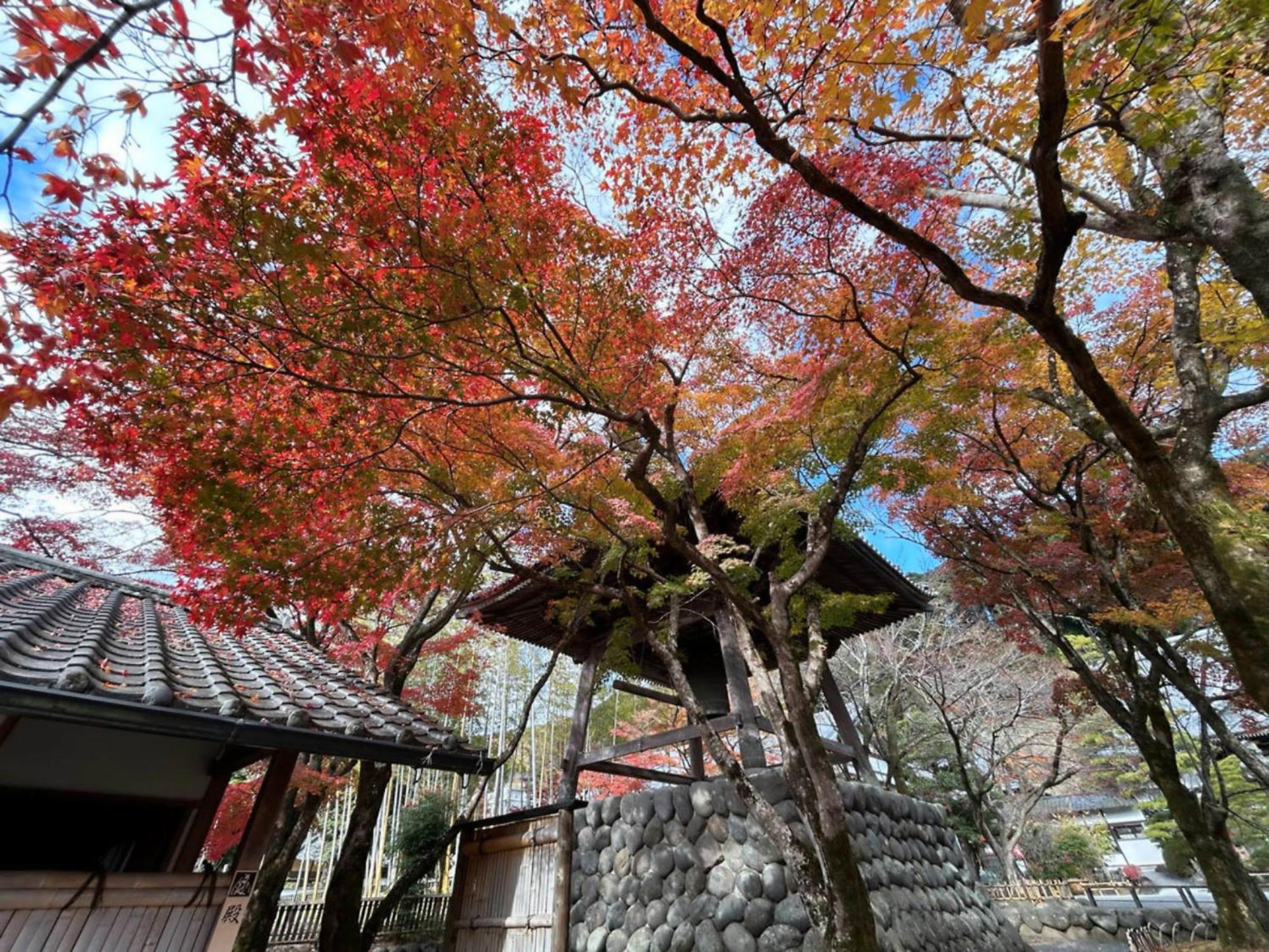 Shuzenji Onsen Hotel Takitei Izu  Eksteriør billede