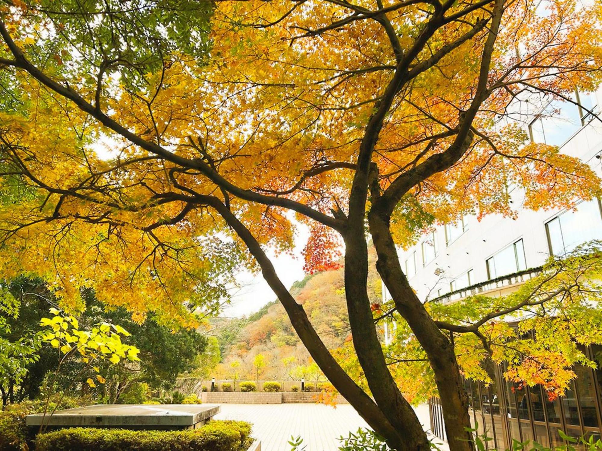 Shuzenji Onsen Hotel Takitei Izu  Eksteriør billede