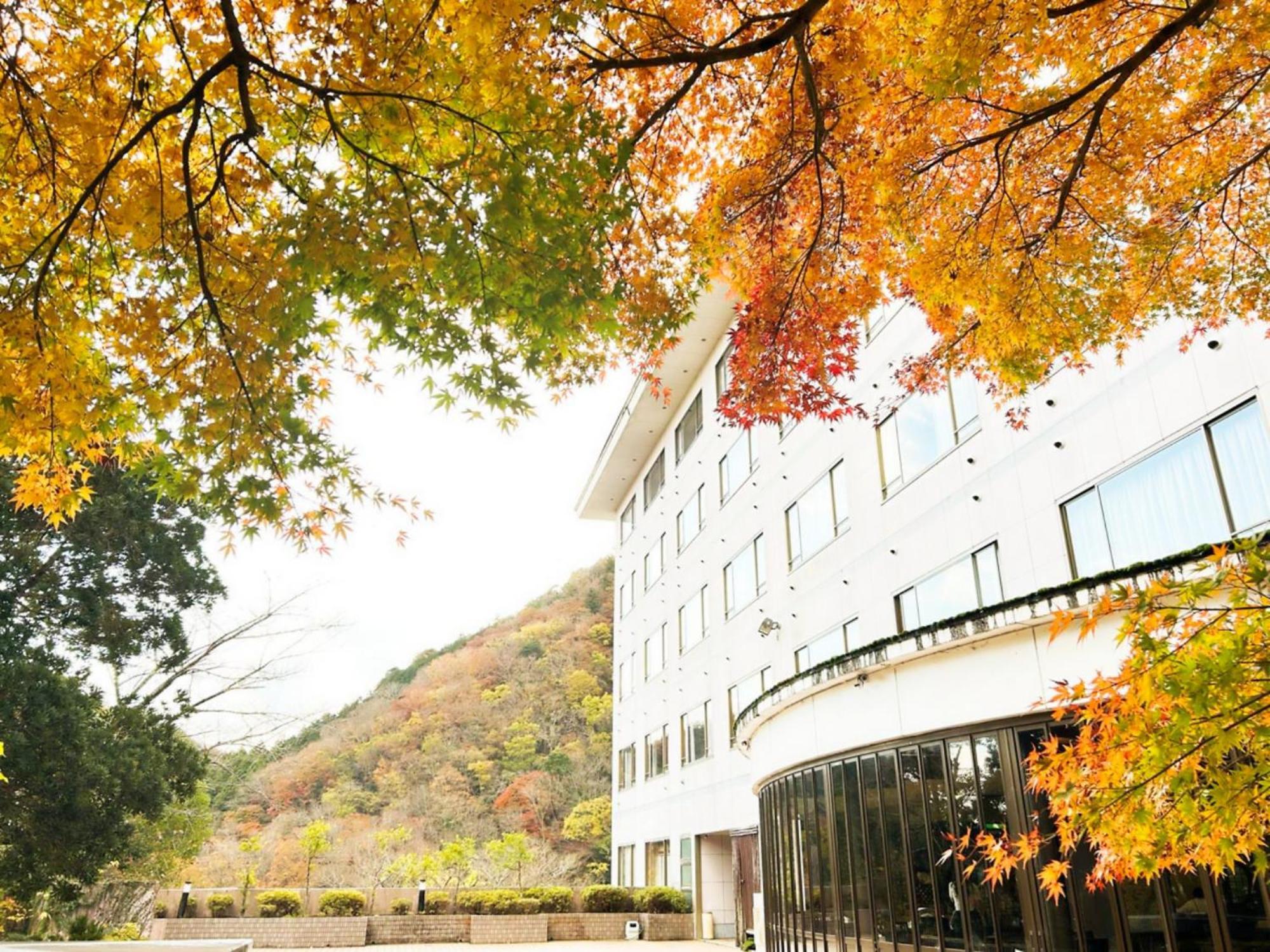 Shuzenji Onsen Hotel Takitei Izu  Eksteriør billede